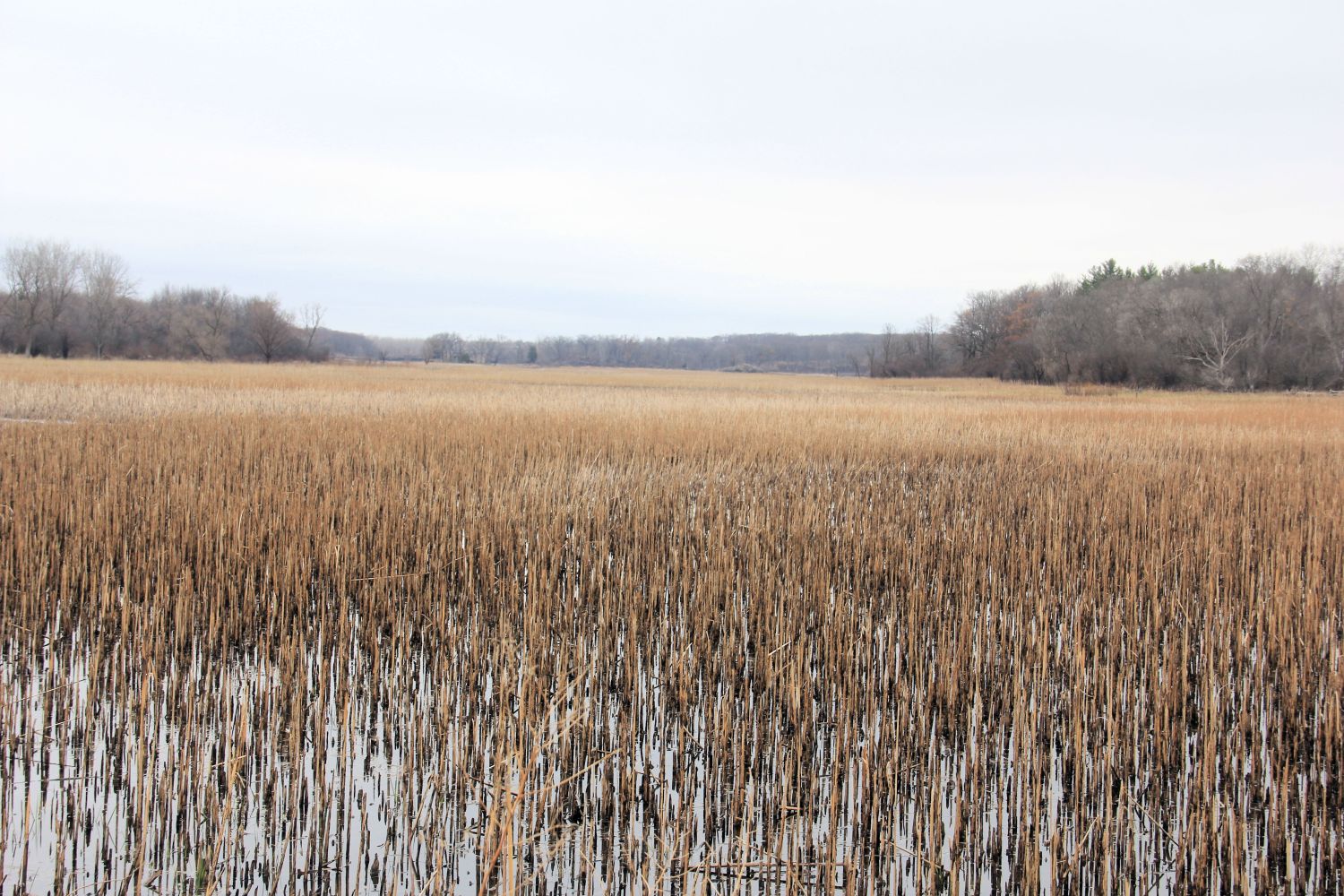 Morraine Hills State Park 